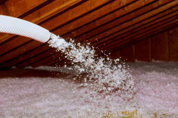 Best Insulation Maintenance and Repair in Beaverton, MI