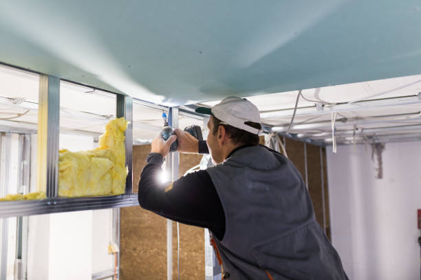 Best Eco-Friendly Insulation in Beaverton, MI