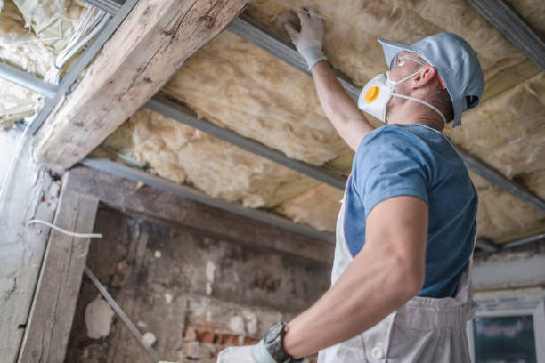 Best Specialized Insulation Services in Beaverton, MI